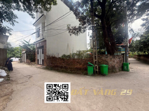 Bán đất Phượng Đồng Phụng Châu Chương Mỹ | S=56,5m² lô góc 3 mặt thoáng – Vị trí đẹp – Giá F0 siêu hiếm 