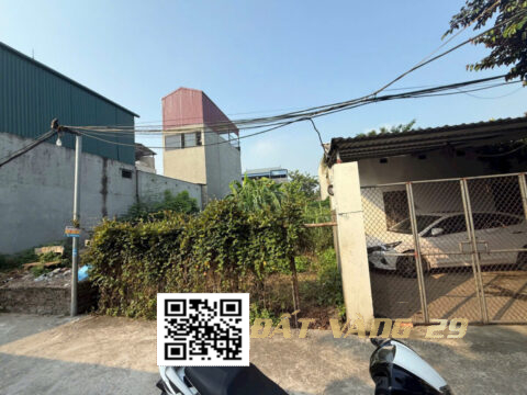 Bán đất Phượng Đồng Phụng Châu Chương Mỹ Hà Nội | 46,3m² vuông vắn – Ô tô vào tận nơi – Sổ đỏ chính chủ