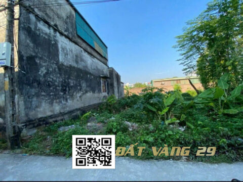 Bán đất Đại Yên Chương Mỹ – Cơ hội đầu tư sinh lời – Giá tốt S=64m2