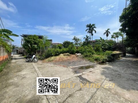 BÁN ĐẤT THỔ CƯ PHÚ NGHĨA – VỊ TRÍ ĐẸP – GIÁ TỐT – S=65m²