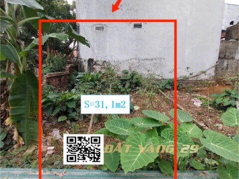 BÁN ĐẤT PHƯỢNG NGHĨA PHỤNG CHÂU – GIÁ RẺ NHẤT KHU VỰC S=31,1m2