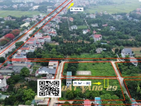 Bán đất khu phân lô bộ đội CK2 Thuỷ Xuân Tiên Chương Mỹ | 79,5m² – Gần Quốc lộ 21A dân cư đông đúc T32