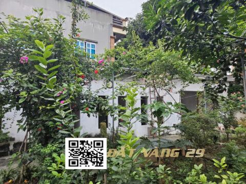 BÁN ĐẤT TRƯỜNG YÊN CHƯƠNG MỸ – SẴN NHÀ CẤP 4, GIÁ TỐT S=215m² 