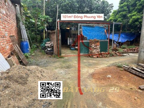 BÁN ĐẤT THỔ CƯ ĐÔNG PHƯƠNG YÊN CHƯƠNG MỸ HÀ NỘI | NẰM TRONG KHU DÂN CƯ ĐÔNG ĐÚC THÂN THIỆN 