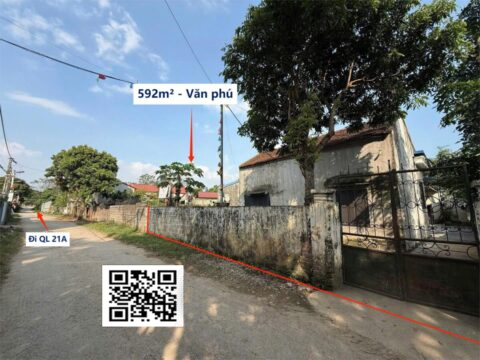 BÁN ĐẤT THÔN VĂN PHÚ HOÀNG VĂN THỤ | DIỆN TÍCH LỚN 592m² – CÓ 200M² THỔ CƯ, GIÁ CHỈ VÀI TRIỆU/m²