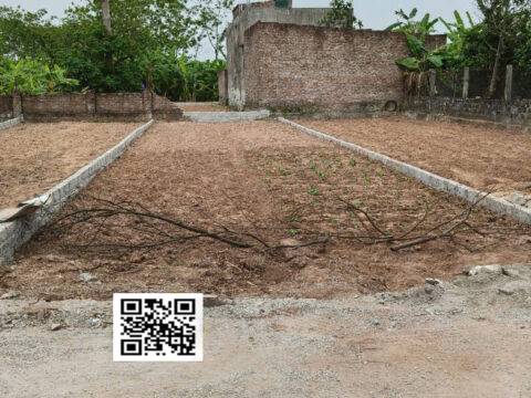 BÁN ĐẤT GIÃN DÂN THƯỢNG VỰC CHƯƠNG MỸ  – SỔ ĐỎ CHÍNH CHỦ – GIA TỐT S=119,2M2