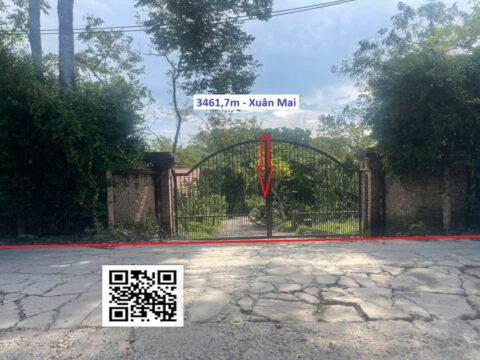 BÁN ĐẤT NỀN XUÂN MAI GIÁ RẺ – MẶT TIỀN RỘNG – GIÁ TỐT S=3461,7m2