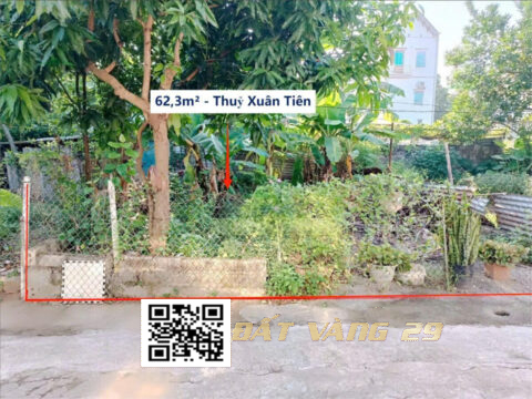 Bán đất nền ở Thủy Xuân Tiên Chương Mỹ – Sổ đỏ chính chủ – Giá tốt S=62,3m