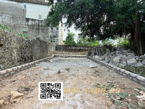 Bán đất nền Tuy Lai Mỹ Đức – Vị trí đắc địa – Giá đầu tư tốt S=81,9m²