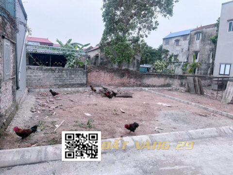 BÁN ĐẤT NỀN HOÀNG DIỆU CHƯƠNG MỸ – PHÁP LÝ CHUẨN – GIÁ TỐT S=80,2m² (T1)