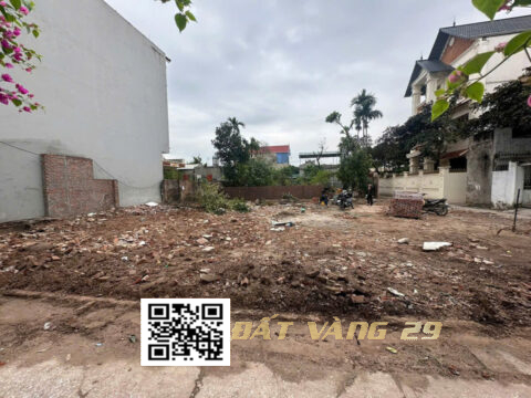 BÁN ĐẤT THÔN GIÁP NGỌ PHƯỜNG CHƯƠNG MỸ – Sổ đỏ chính chủ, giá tốt S=50m² (T5)