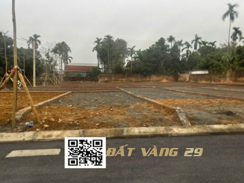 BÁN ĐẤT GẦN QUỐC LỘ 6 YÊN KIỆN ĐÔNG SƠN | Ô TÔ VÀO TẬN NƠI S=127,8m² (T12)