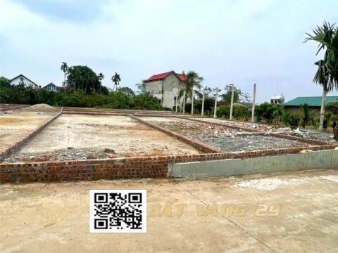 BÁN ĐẤT PHÂN LÔ HẠNH CÔN XUÂN MAI – Khu dân cư đông – Giá tốt S=80,5m2 (LK03)