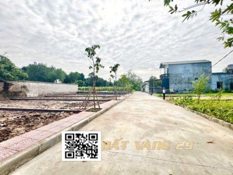BÁN ĐẤT PHÂN LÔ XUÂN LINH XUÂN MAI – Tiện ích đầy đủ, Giá tốt 82,5m²  (LK5)