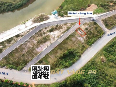 Bán Đất phân lô Đồng Sầm Đông Sơn 60.5m² Khu dân cư đông , Khu A – LK14
