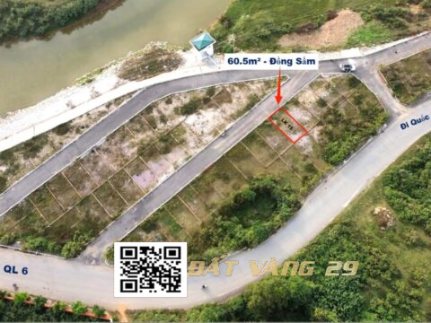 Bán Đất phân lô Đồng Sầm Đông Sơn 60.5m² Pháp lý chuẩn , Giá tốt ( Khu A – LK15 )