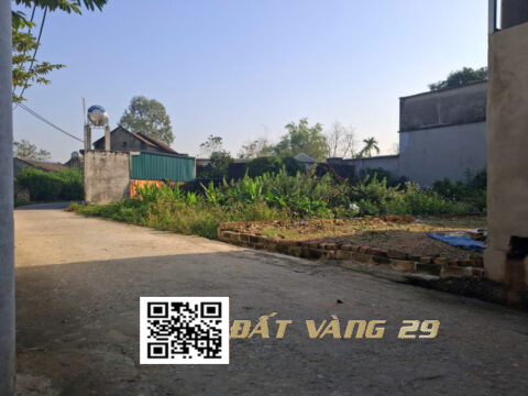 Bán đất Tân Yên Trường Yên Chương Mỹ | Giá tốt – Khu dân cư đông đúc S=98,1m²