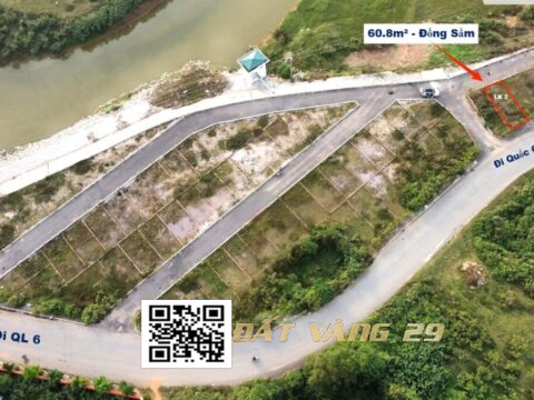 Bán Đất Phân Lô Đồng Sầm Đông Sơn 60.8m² Lô Đất 2 mặt tiền , Giá tốt ( Khu D – LK2 )