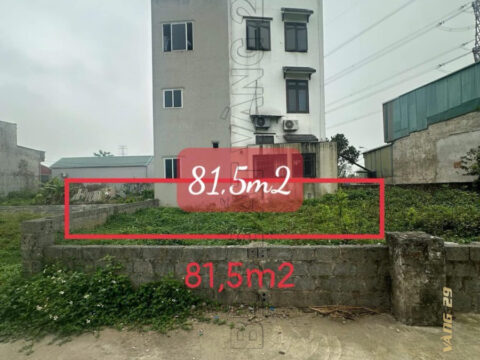 BÁN ĐẤT PHÚ NGHĨA CHƯƠNG MỸ 81,5m² vị trí đẹp, khu dân cư đông đúc, giao thông thuận tiện
