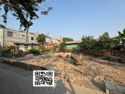 Bán đất Phú Nghĩa Hà Nội – Khu dân cư đông – Giá tốt – S=80,5m²