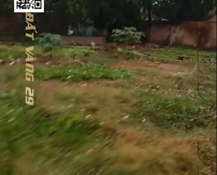 Bán đất nền Hoàng Văn Thụ Chương Mỹ | Khu dân cư sầm uất – Gần trường học và chợ – S=86,8m²