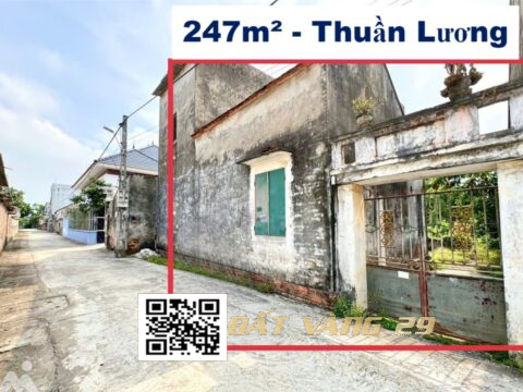Bán đất Thuần Lương Hoàng Văn Thụ Chương Mỹ 247m² đất đẹp đường ô tô pháp lý chuẩn