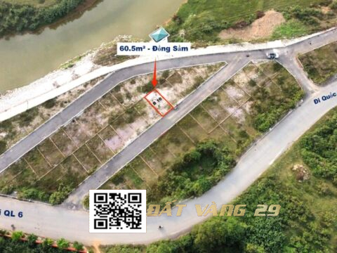 Bán Đất Phân Lô Đồng Sầm Đông Sơn 60.5m² Dân cư đông, Giá tốt ( Khu B – LK10 )