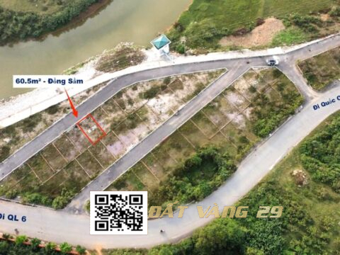 Bán Đất Phân Lô Đồng Sầm Đông Sơn 60.5m² Gần trục liên xã , Giá tốt ( Khu B – LK20 )