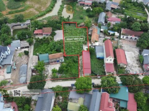 Bán đất đồi chè Tân Tiến 924m² Hướng Đông Pháp lý chuẩn Giá tốt