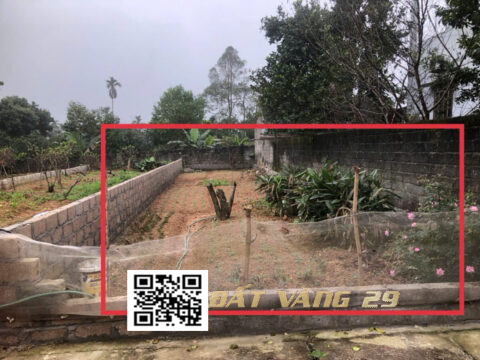 Bán đất tái định cư Thôn Văn Mỹ – Pháp lý chuẩn – Giá tốt S=120m²