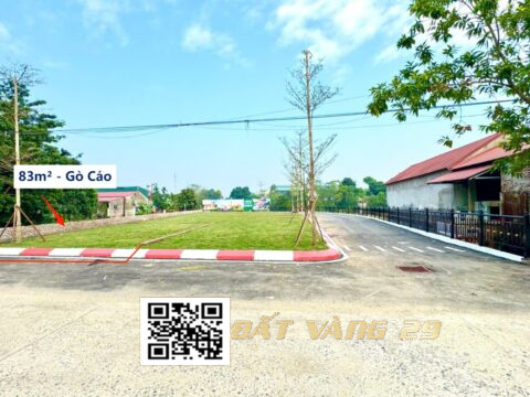 Bán đất thôn Gò Cáo Xuân Mai, trục chính ô tô tránh 83m² (LK02)