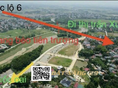 Bán đất Đấu Giá Đồng Khoang Bèo Tiên Trượng TT Xuân Mai Chương Mỹ LK3-3  130m²