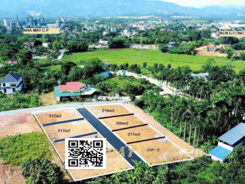 Bán Lô Đất Hòa Sơn Lương Sơn (LK5), Vị Trí Đẹp, Pháp Lý Chuẩn – Nhanh Tay Kẻo Lỡ! S=217.3m²