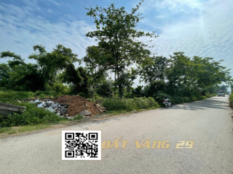 Bán đất Đại Yên Chương Mỹ – Lô đất đẹp – Giá đầu tư – S=188m²