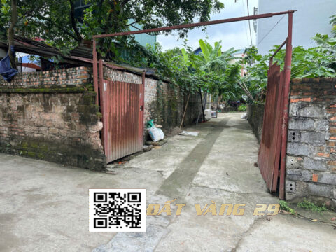 Bán đất 61,6m² tại thôn Phúc Cầu xã Thụy Hương | Đường ô tô Dân cư đông Giá đầu tư tốt