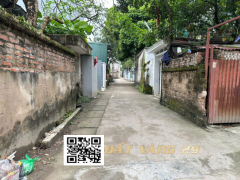 Bán đất Phượng Đồng Phụng Châu – Giá tốt cho nhà đầu tư – S=32,3m²