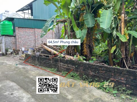 BÁN ĐẤT THỔ CƯ ĐẸP TẠI PHỤNG CHÂU CHƯƠNG MỸ HÀ NỘI | NẰM TRONG KHU DÂN CƯ ĐÔNG THÂN THIỆN 