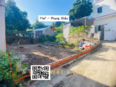 BÁN ĐẤT TẠI THÔN LONG CHÂU PHỤNG CHÂU CHƯƠNG MỸ  GIÁ YÊU THƯƠNG 71m²