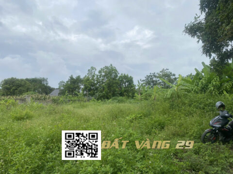 Bán đất nền Tân Tiến – S=852m² – Khu dân cư hiện hữu – Giá tốt 