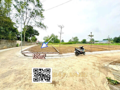 Bán đất Nhuận Trạch Lương Sơn Hòa Bình – S=135m² – Lô góc – Giá tốt