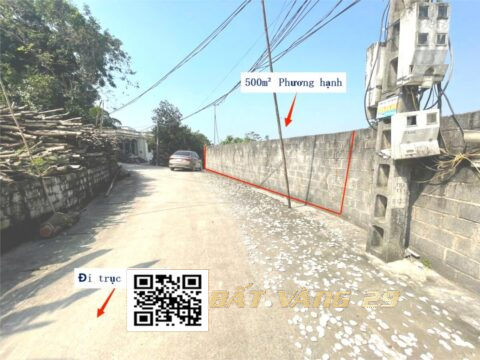 Bán đất Phương Hạnh Tân Tiến | Diện tích 500m² – Giá tốt cho nhà đầu tư