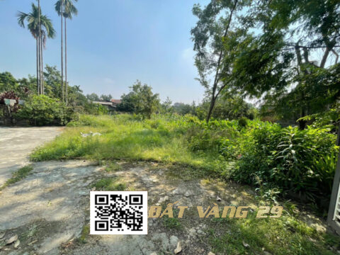 Bán đất Chợ Cá Nam Phương Tiến 1197m² Gần trường học, chợ dân sinh, UBND