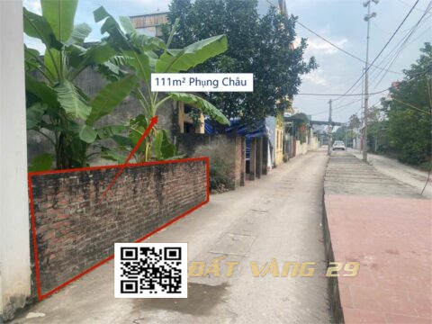 BÁN ĐẤT THỔ CƯ PHỤNG CHÂU CHƯƠNG MỸ HÀ NỘI| LÔ GÓC 2 MẶT TIỀN – ĐƯỜNG 5M – TRUNG TÂM XÃ – CỰC HIẾM!