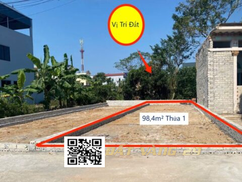 BÁN ĐẤT TRẦN PHÚ GIÁ RẺ 98,4m² – KHU DÂN CƯ ĐÔNG ĐÚC – GIÁ ĐẦU TƯ (T1)