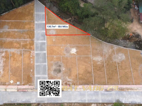 Bán đất Phân Lô Đồi Miễu 99.8m² – Pháp lý chuẩn – Giá tốt LK10