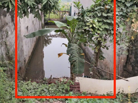 Bán Đất 100m² Tại Phú Nam An Chương Mỹ Hà Nội | Mặt Tiền 5m – Đường 10m – Giá Tốt Nhất Khu Vực