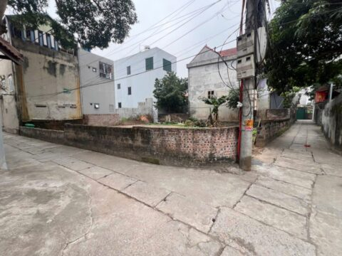 BÁN ĐẤT PHƯỢNG NGHĨA PHỤNG CHÂU GIÁ RẺ 120m² | LÔ GÓC – GIÁ ĐẦU TƯ