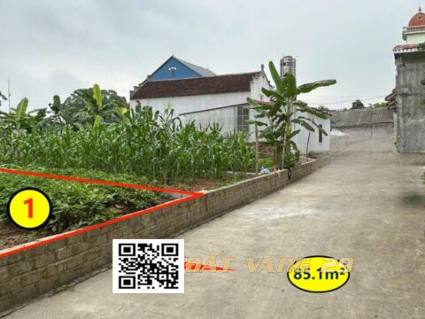 Bán đất Nam Hài Nam Phương Tiến 85.1m² – Vị trí đẹp ,Gần trường học các cấp, trạm y tế, chợ dân sinh  giá đầu tư  (LK1)