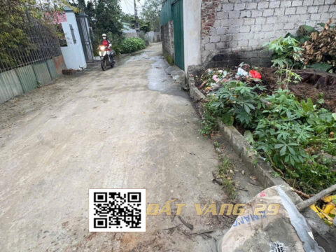 BÁN ĐẤT ĐÔNG PHƯƠNG YÊN 90M² | VỊ TRÍ ĐẸP – GIÁ TỐT – KHU DÂN CƯ ĐÔNG ĐÚC