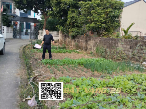 Bán Đất Tân Hội Xuân Mai 153,2m² – Lô Góc – Khu Dân Cư Đông!